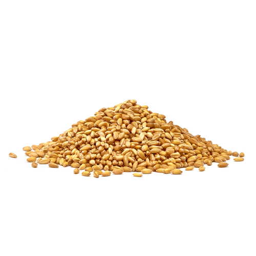 Freekeh Greenwheat Whole 500g